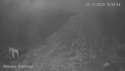 Vlek Mikulov, Slalomový svah