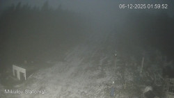 Vlek Mikulov, Slalomový svah