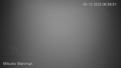 Vlek Mikulov, Slalomový svah