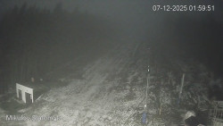 Vlek Mikulov, Slalomový svah