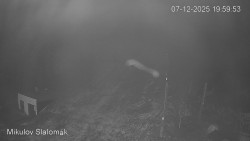 Vlek Mikulov, Slalomový svah