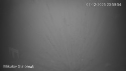 Vlek Mikulov, Slalomový svah