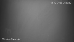 Vlek Mikulov, Slalomový svah