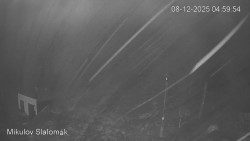 Vlek Mikulov, Slalomový svah