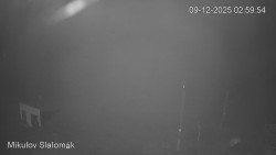 Vlek Mikulov, Slalomový svah