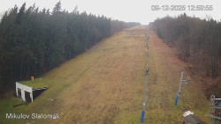 Vlek Mikulov, Slalomový svah