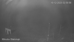 Vlek Mikulov, Slalomový svah