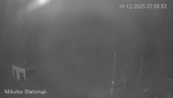 Vlek Mikulov, Slalomový svah