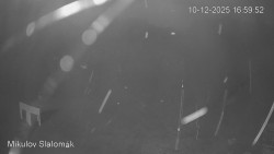 Vlek Mikulov, Slalomový svah