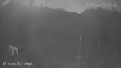 Vlek Mikulov, Slalomový svah