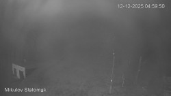 Vlek Mikulov, Slalomový svah