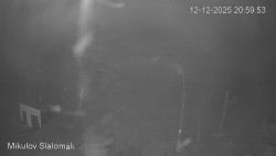 Vlek Mikulov, Slalomový svah