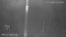 Vlek Mikulov, Slalomový svah