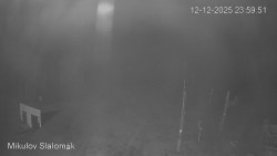 Vlek Mikulov, Slalomový svah