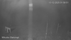 Vlek Mikulov, Slalomový svah