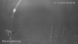 Vlek Mikulov, Slalomový svah