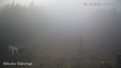 Vlek Mikulov, Slalomový svah