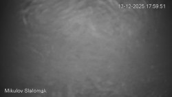 Vlek Mikulov, Slalomový svah