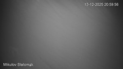 Vlek Mikulov, Slalomový svah