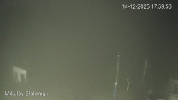 Vlek Mikulov, Slalomový svah