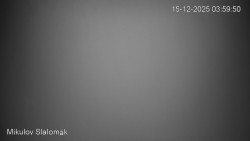 Vlek Mikulov, Slalomový svah