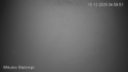 Vlek Mikulov, Slalomový svah