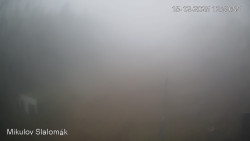 Vlek Mikulov, Slalomový svah