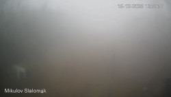 Vlek Mikulov, Slalomový svah