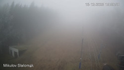 Vlek Mikulov, Slalomový svah