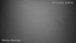 Vlek Mikulov, Slalomový svah