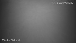 Vlek Mikulov, Slalomový svah