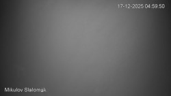 Vlek Mikulov, Slalomový svah