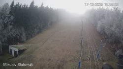 Vlek Mikulov, Slalomový svah