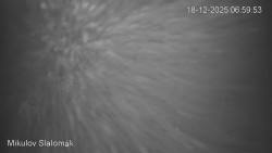 Vlek Mikulov, Slalomový svah