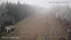 Vlek Mikulov, Slalomový svah