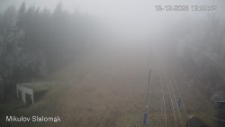 Vlek Mikulov, Slalomový svah