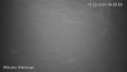 Vlek Mikulov, Slalomový svah