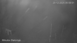 Vlek Mikulov, Slalomový svah