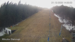 Vlek Mikulov, Slalomový svah