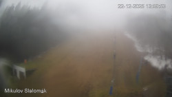 Vlek Mikulov, Slalomový svah