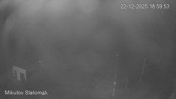 Vlek Mikulov, Slalomový svah