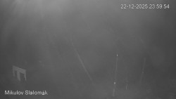 Vlek Mikulov, Slalomový svah