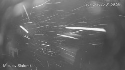 Vlek Mikulov, Slalomový svah