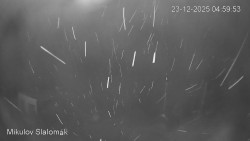 Vlek Mikulov, Slalomový svah