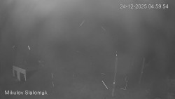 Vlek Mikulov, Slalomový svah