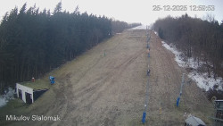 Vlek Mikulov, Slalomový svah