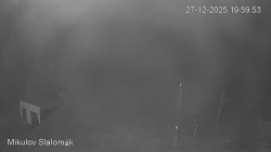 Vlek Mikulov, Slalomový svah