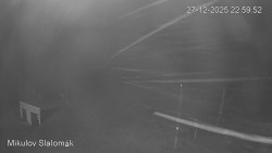 Vlek Mikulov, Slalomový svah