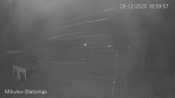 Vlek Mikulov, Slalomový svah