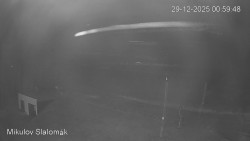 Vlek Mikulov, Slalomový svah